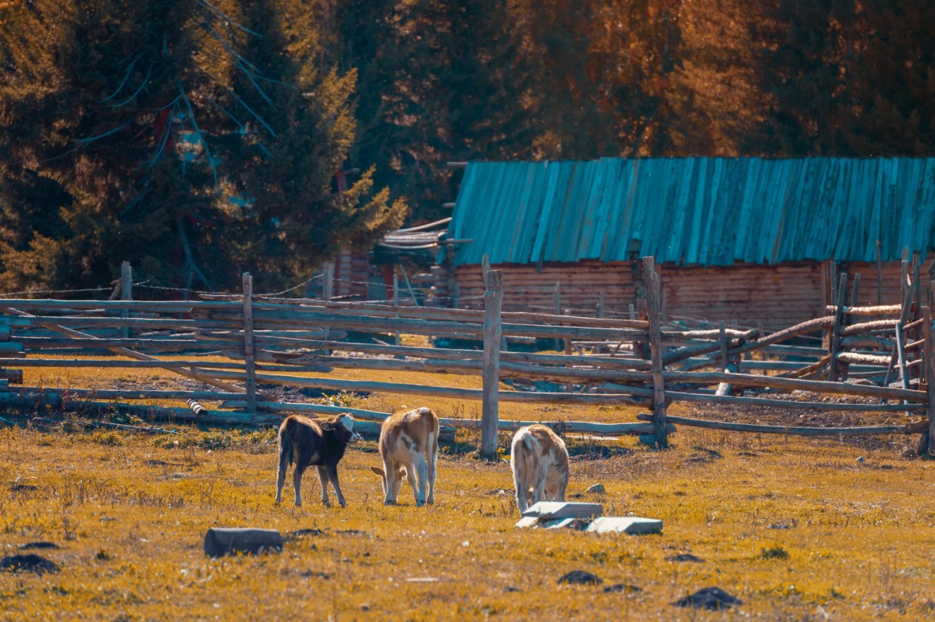 CoUBYGDUTBKAblOQAAsHSBDGRQM212.jpg CoUBYGDUTBKAblOQAAsHSBDGRQM212.jpg