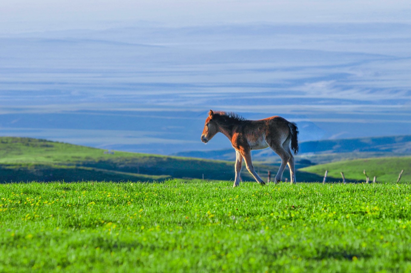 CoUBYGDUTDOAav0CAAeLrlN9-sw753.jpg CoUBYGDUTDOAav0CAAeLrlN9-sw753.jpg