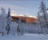 �����ձ��������{˹��ѩ�� ��ľ��ѩ ِ��ľ���{��