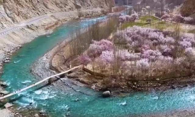 【昆侖杏花】3月 塔縣深山杏花村｜新疆帕米爾高原｜莎塔古道｜喀什古城