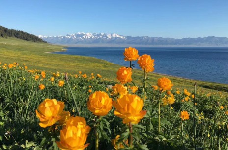 【伊犁花?！?月 ｜獨(dú)庫(kù)公路｜賽里木湖｜喀拉峻｜瓊庫(kù)什臺(tái)｜唐布拉｜安集海大峽谷｜夏特古道