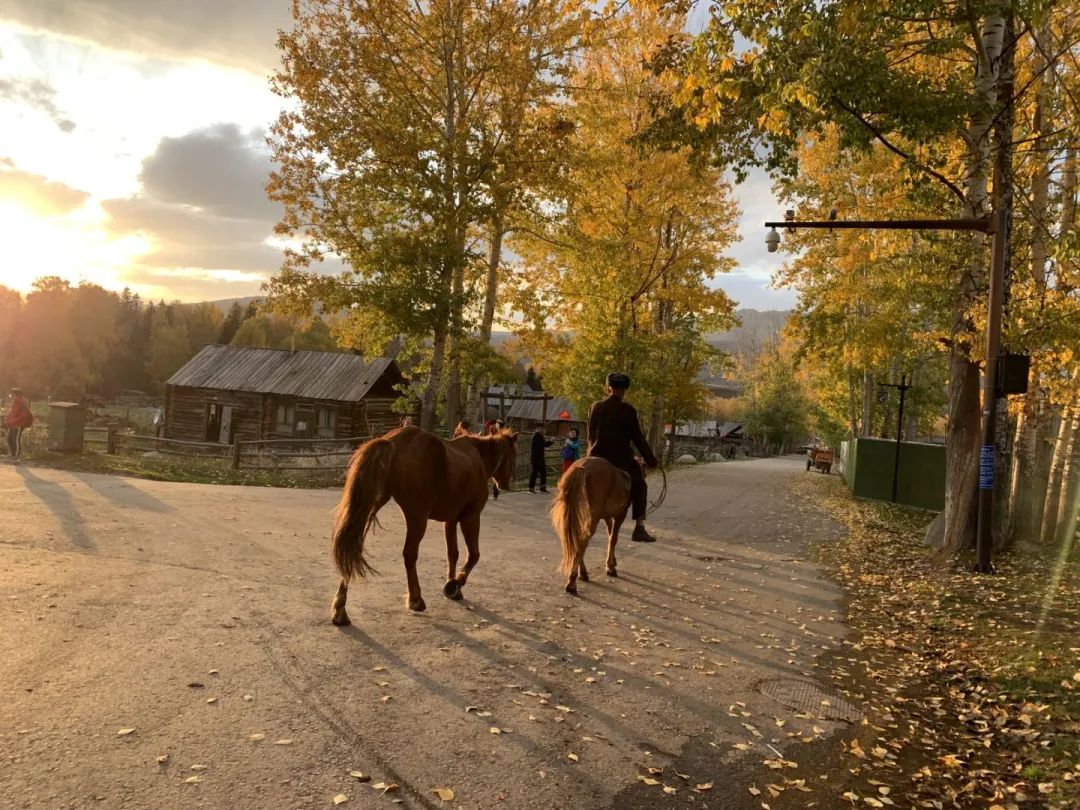 ձM(jn)ͮ(hu)L(zhng)   {˹ľ׹ͣɿк֣ħǣ