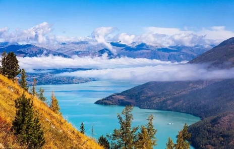 ҵİ̩̹·{˹׹ͣľɿк